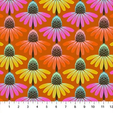 Perennial Border: Echinacea Rhythm in Fire