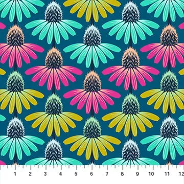 Perennial Border: Echinacea Rhythm in Parade **ALMOST GONE**
