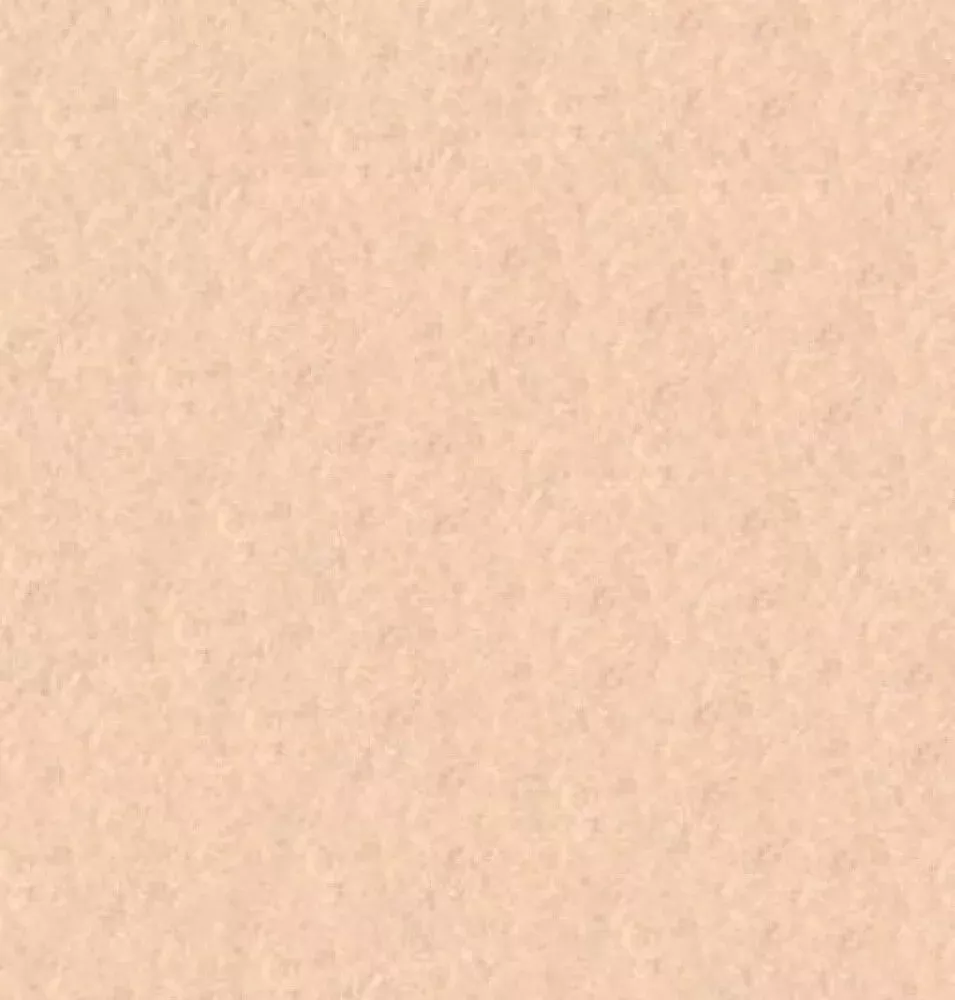 Wool Felt - Blush - 18 in SQUARE